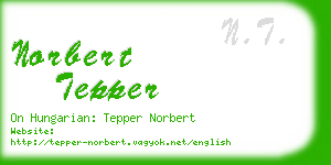 norbert tepper business card